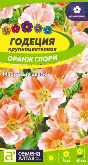 Годеция «Оранж Глори»