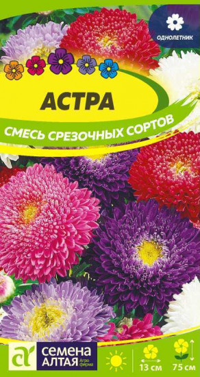 Астра «Смесь срезочных сортов»