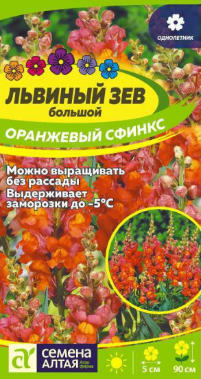 Львиный зев «Оранжевый сфинкс»
