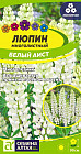 Люпин «Белый аист»