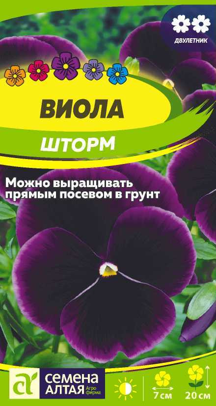 Виола «Шторм» | Семена Алтая
