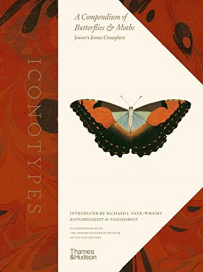 Iconotypes. A compendium of butterflies