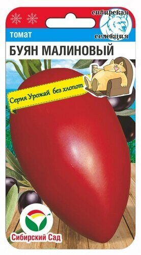 Томат «Буян малиновый»