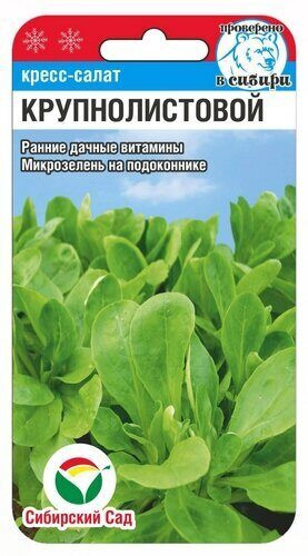 Кресс-салат «Крупнолистовой»