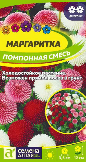Маргаритка «Помпонная смесь»