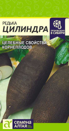 Редька «Цилиндра»