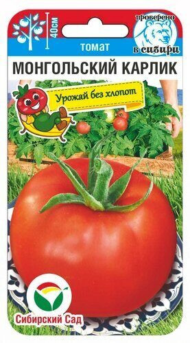 Томат «Монгольский карлик»