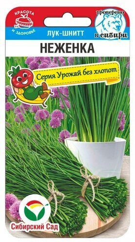 Лук-шнитт «Неженка»