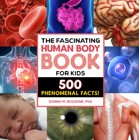 The Fascinating Human Body Book