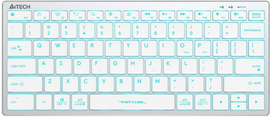 Клавиатура A4Tech Fstyler FX61