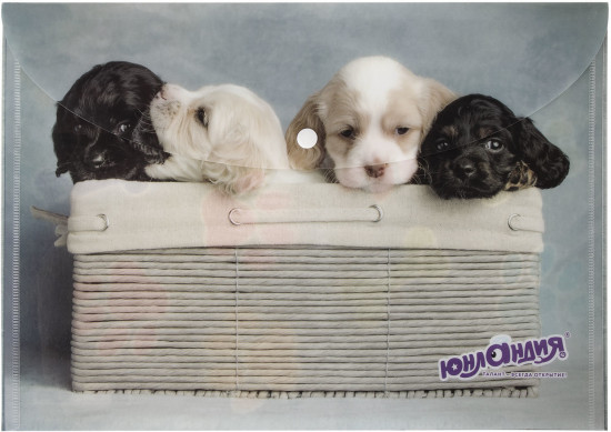 Папка-конверт с кнопкой