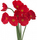 Букет цветов искусственных «Мак красный»