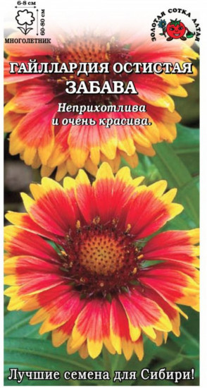 Гайлардия «Забава остистая»