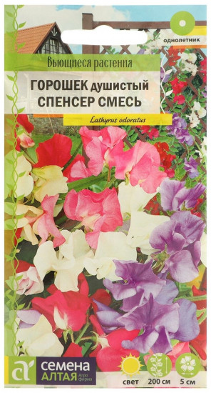 Горошек душистый «Спенсер»