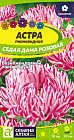 Астра «Седая дама»