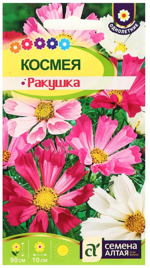 Космея «Ракушка»