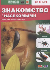 Знакомство с насекомыми