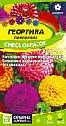 Георгина «Помпонная смесь»