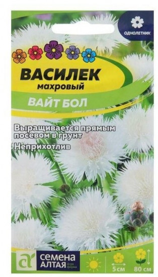 Василек «Вайт бол»