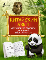 Китайский язык