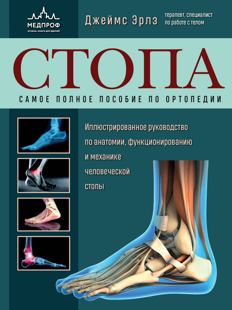 Стопа. Самое полное пособие по ортопедии | Анатомические поезда