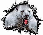 Наклейка на машину «Белый медведь»