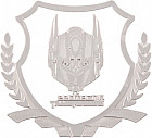 Эмблема «Protect Transformers»