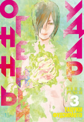 Огненный удар 3. Книги 5-6