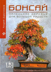Бонсай