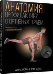 Анатомия профилактики спортивных травм