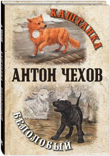 Каштанка. Белолобый