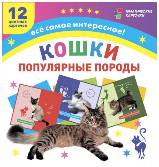 Кошки. Популярные породы