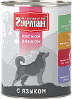 язык