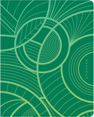 Дневник школьный «Geometry. Green»