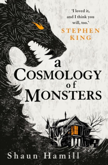 Cosmology of monsters