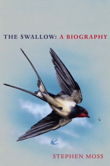 The Swallow. A Biography