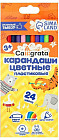 24 дана