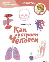 Как устроен человек