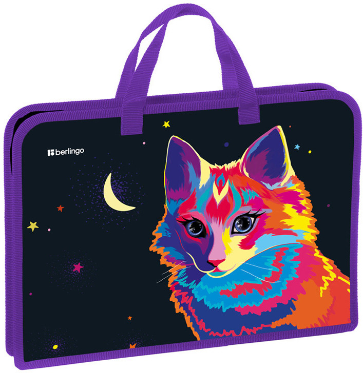 Папка с ручками | Astro Cat | Berlingo