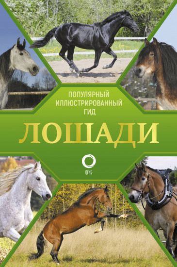 Лошади