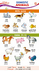 Карточка-шпаргалка «Domestic Animals»