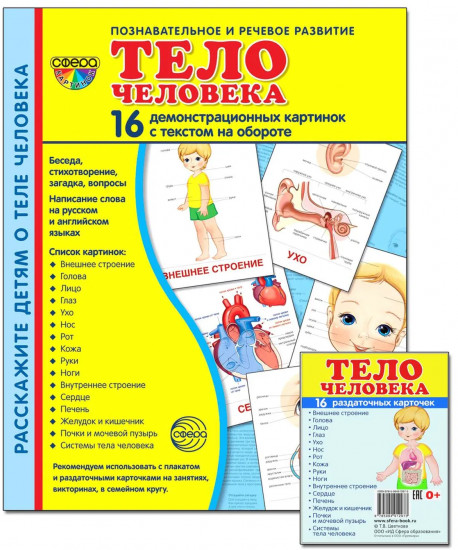 Комплект из 2 пособий. Тело человека