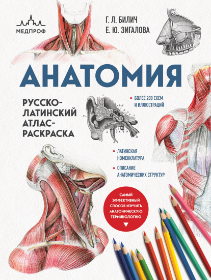 Анатомия