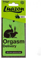 Ароматизатор в авто «Orgasm»
