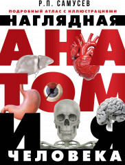 Наглядная анатомия человека