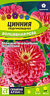 Цинния «Волшебная роза»