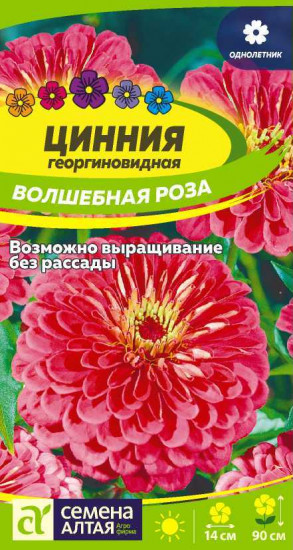 Цинния «Волшебная роза»