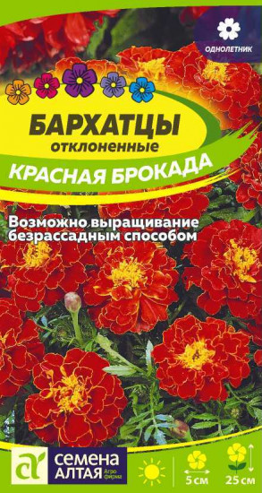 Бархатцы «Красная Брокада»