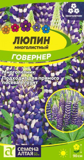 Люпин «Говернер»