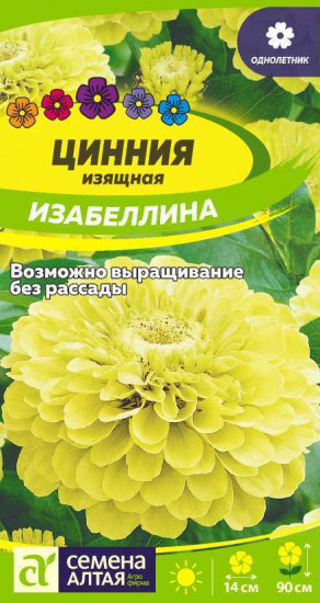 Цинния «Изабеллина изящная»